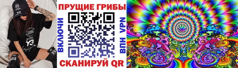 купить наркотики цена  Правдинск  площадка официальный сайт  Галлюциногенные грибы MAGIC MUSHROOMS 